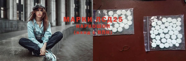 гидропоника Богданович