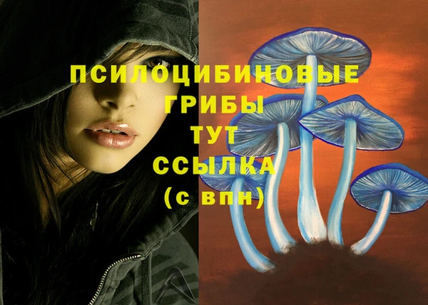 гидропоника Богданович