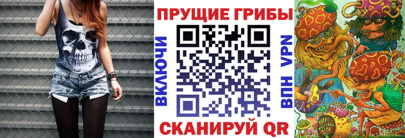 продажа наркотиков  Нижний Тагил  площадка состав  Галлюциногенные грибы ЛСД 